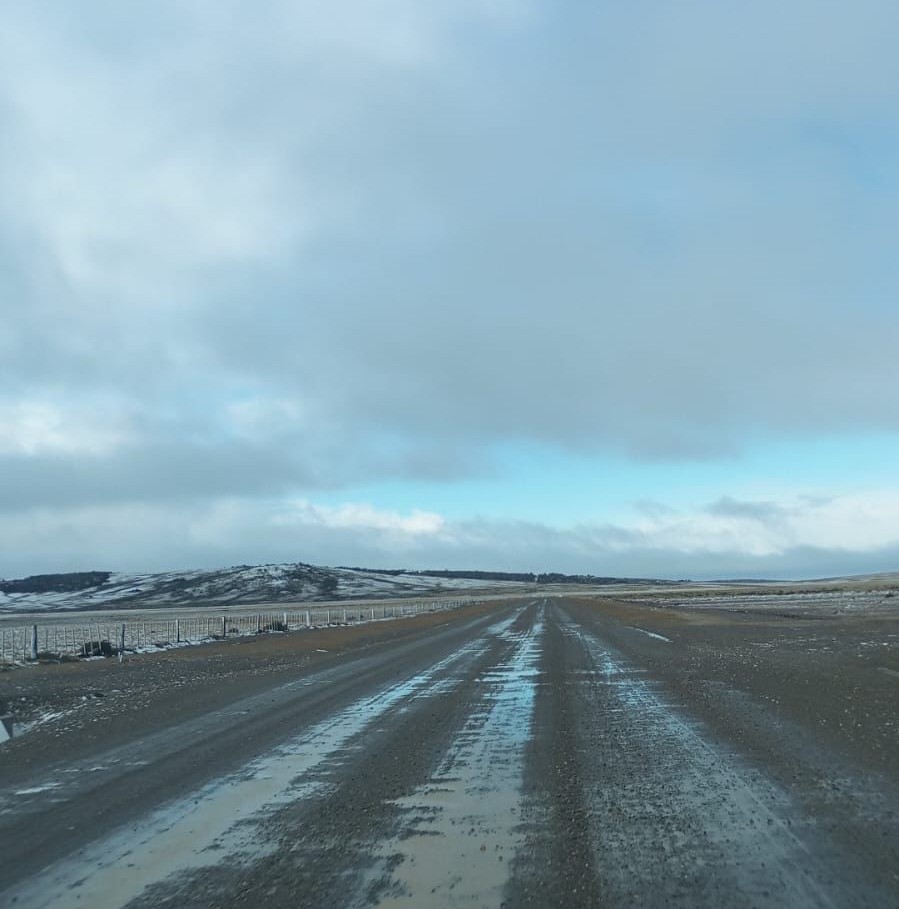 MOP Magallanes tweet media