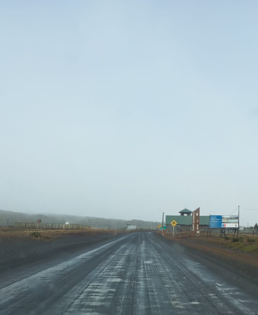 MOP Magallanes tweet media