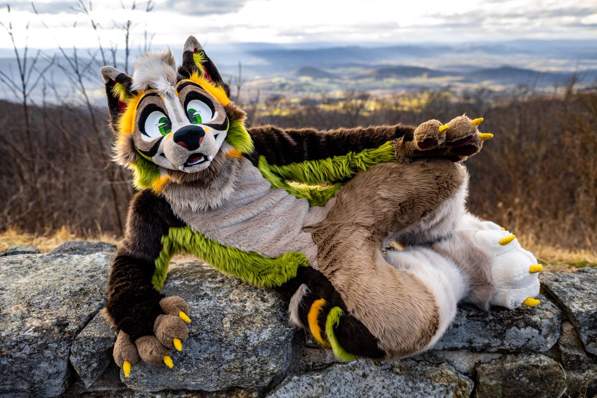 Sid ✈️ LVFC tweet media