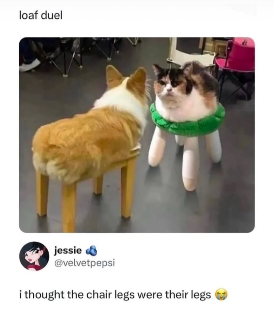 Antidepressant Content tweet media