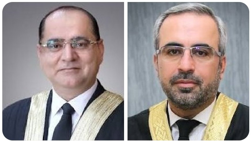 𝗠𝗼𝗻𝗮ⁱᴾⁱᵃⁿ🕊️🦋 tweet media