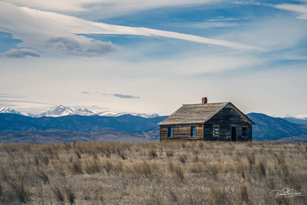 David Davis tweet media