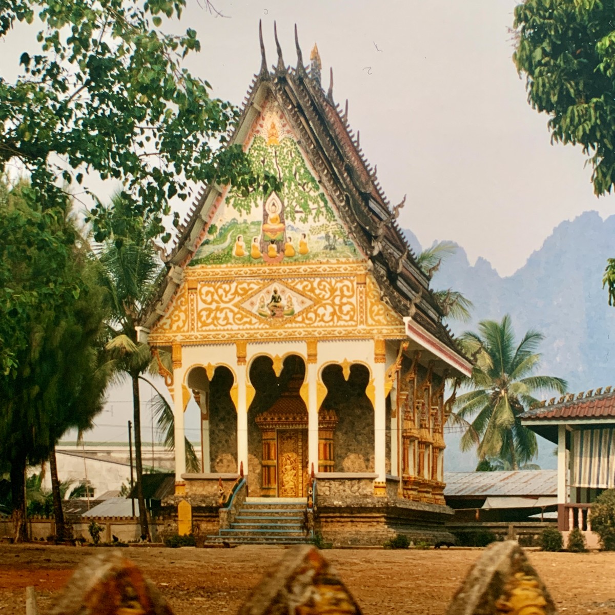 Denise Miltenburg tweet media