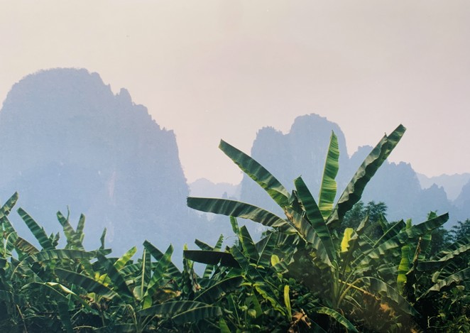 Denise Miltenburg tweet media