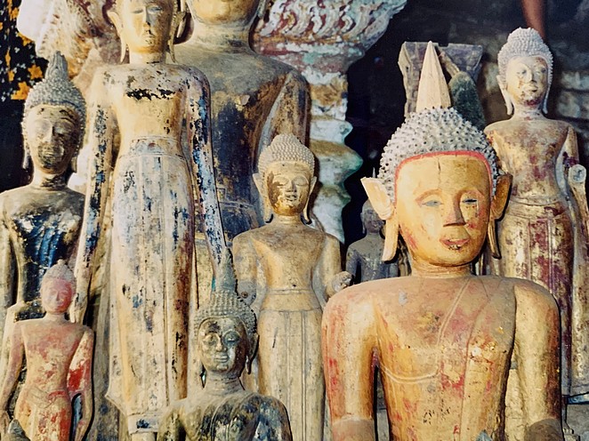 Denise Miltenburg tweet media