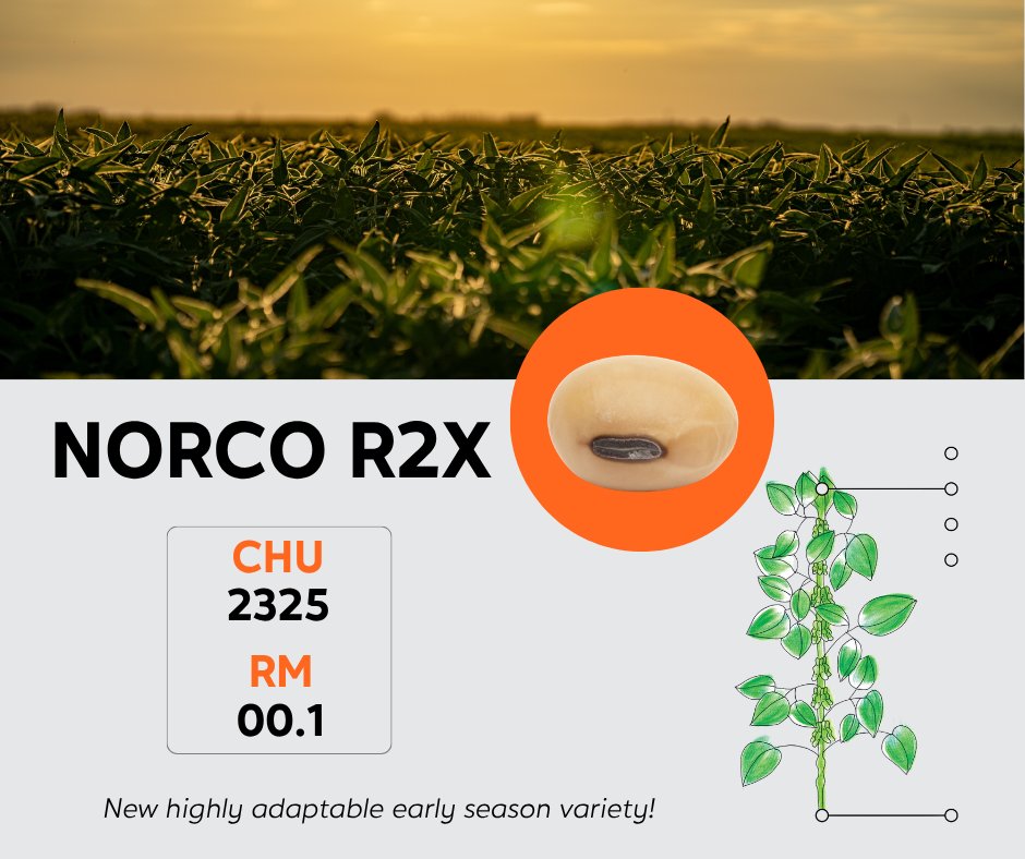 Prograin tweet media