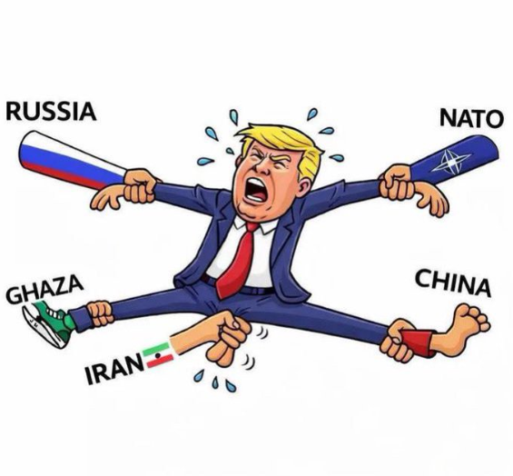 broksambor's tweet photo. https://t.co/gfhcbhkcuB