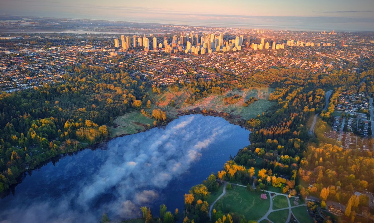 TrafficTrish 🚁 tweet media