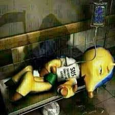 Pedrovski☘️ᐅ tweet media