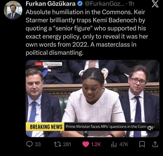 dave lawrence 🐟🐟🐠 tweet media