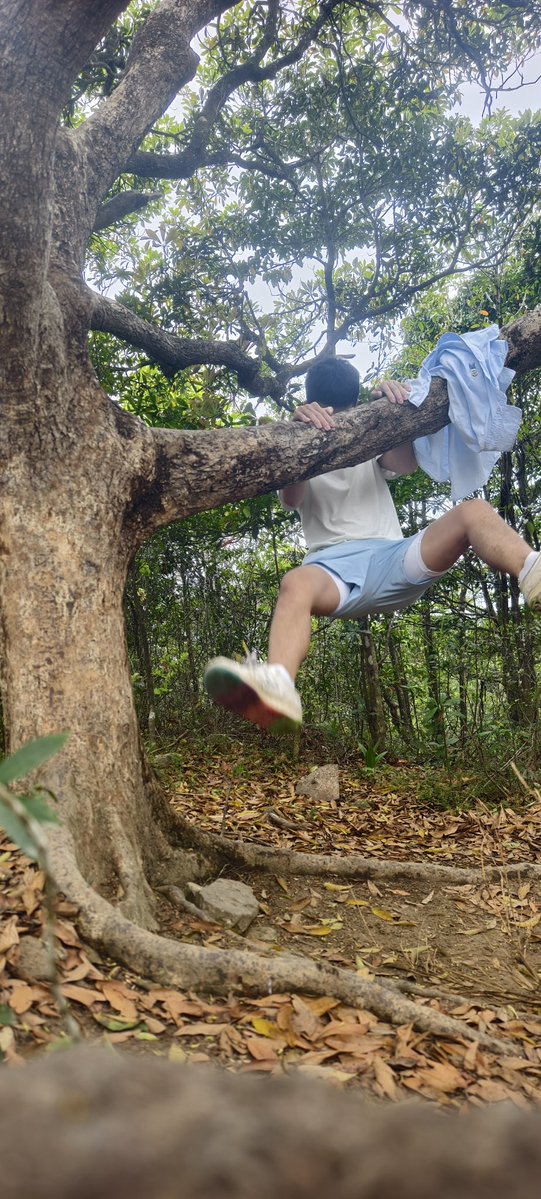 酒窝小男孩 tweet media