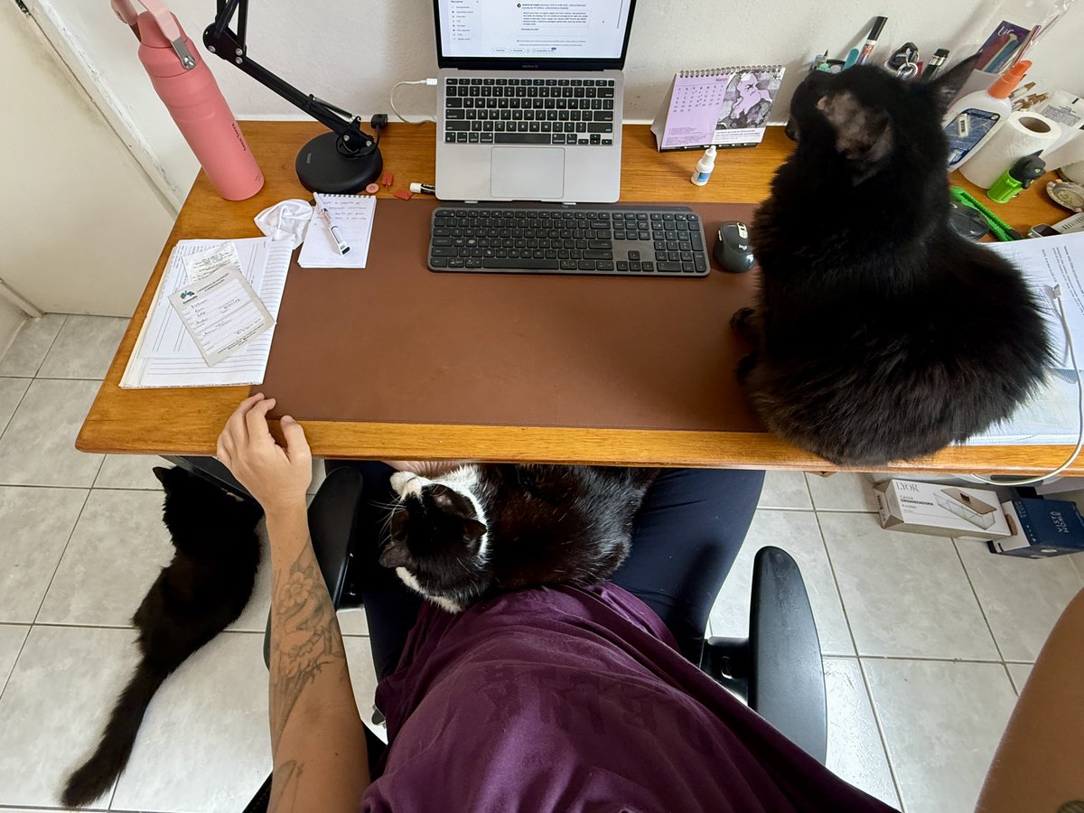 anna terra 🌍 tweet media