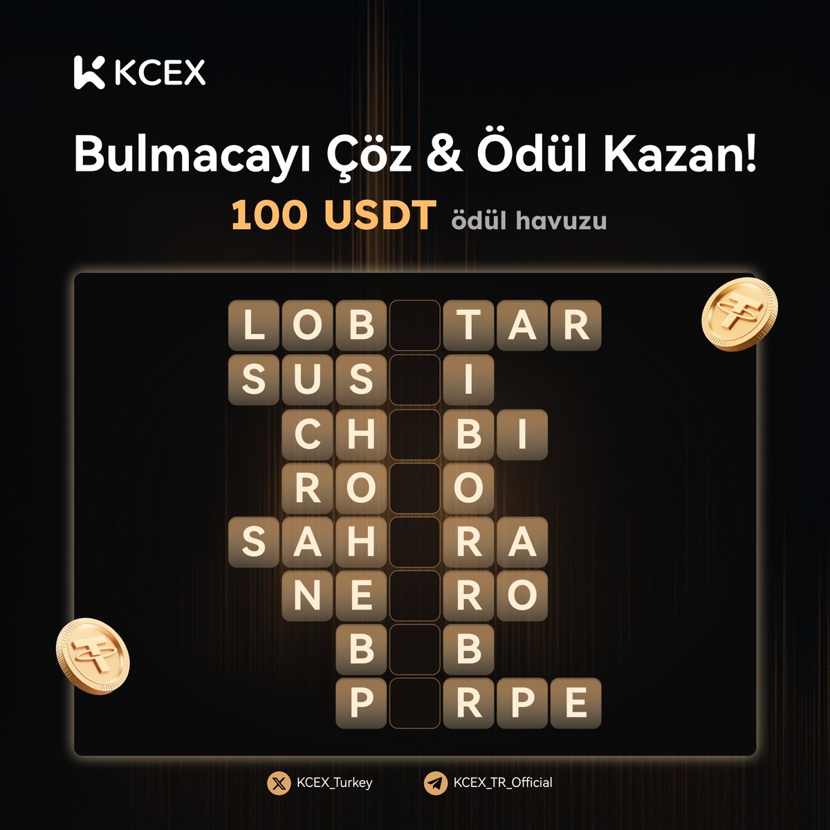 KCEX Global Türkiye Topluluğu tweet media