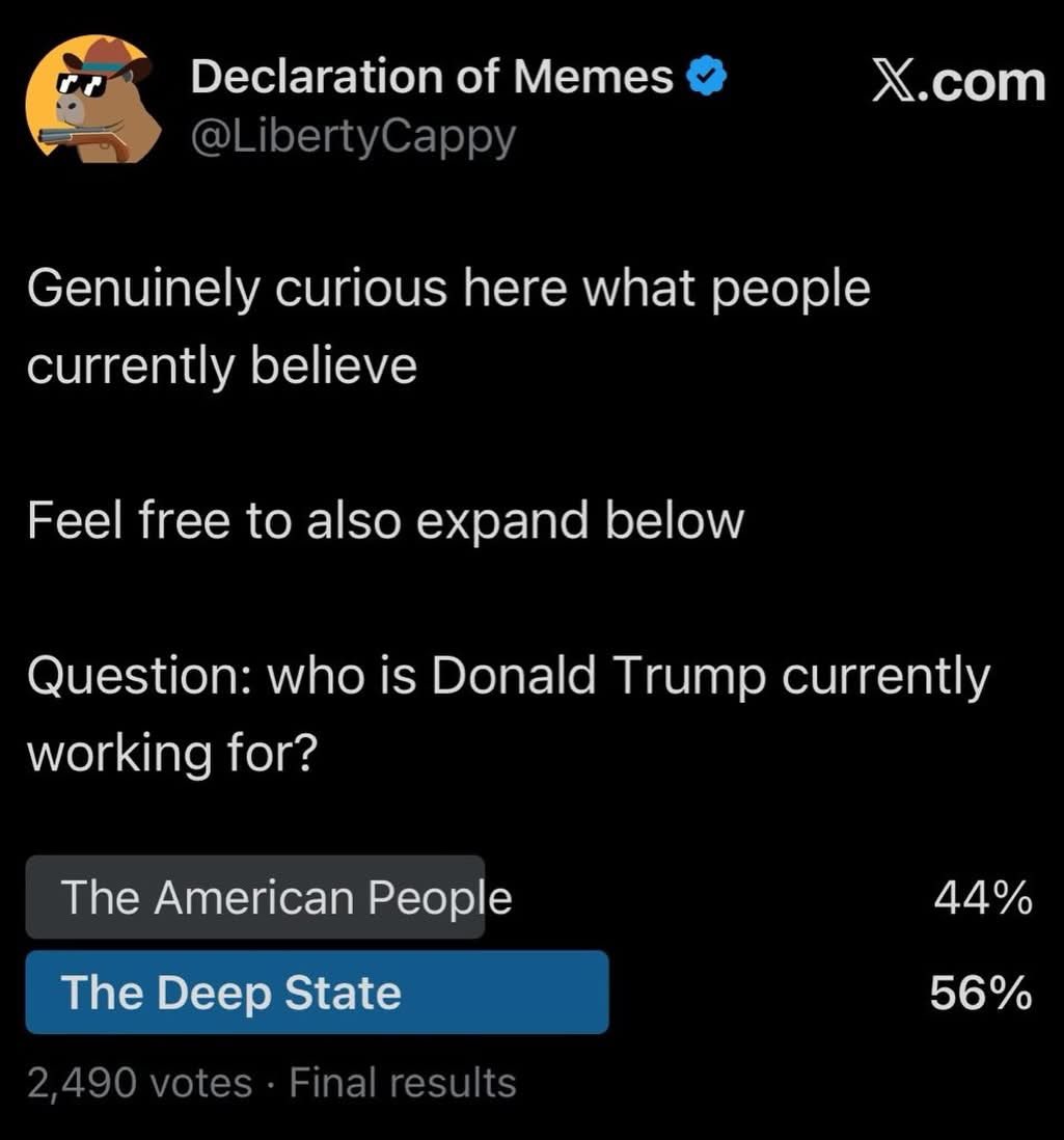 Declaration of Memes tweet media