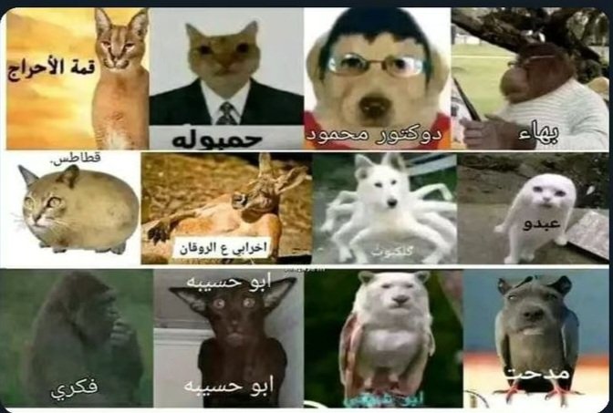 🇵🇸🔻🇪🇬♡منــون tweet media