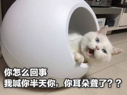 fumeng2233's tweet photo. @YeLingxiQWQ 让你买原油你耳朵聋吗！ https://t.co/wlZx2vcP17