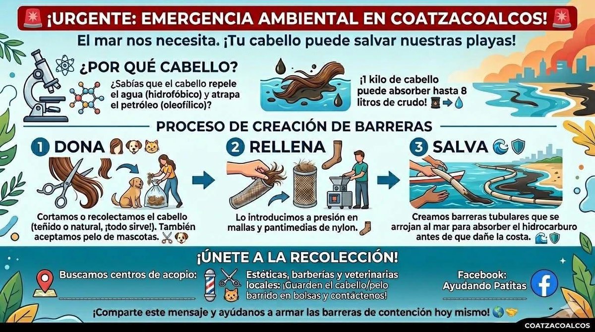 Veracruz En Alerta tweet media