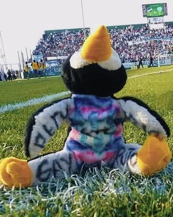 José Ignacio Russo tweet media