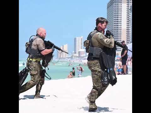 The Beach Network tweet media