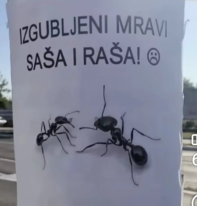 KOBRA CRNA tweet media