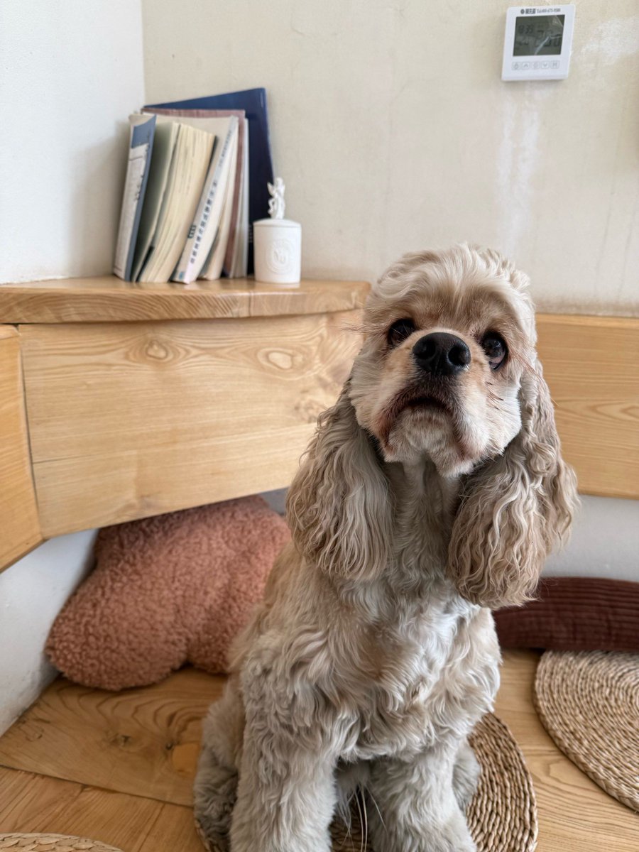 Agathe Collobert tweet media