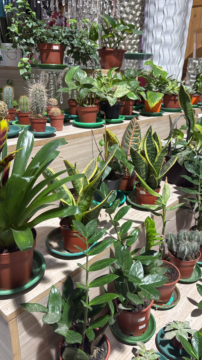 Remaz | ريمـاز tweet media