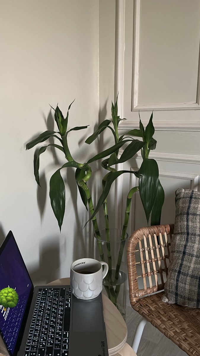 Remaz | ريمـاز tweet media