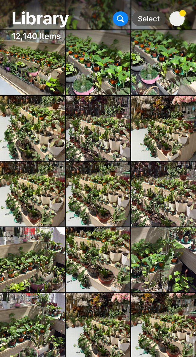 Remaz | ريمـاز tweet media