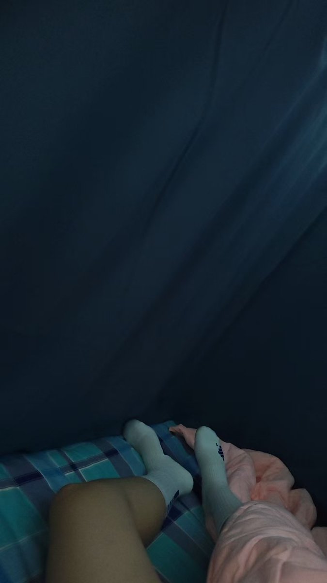 芝士大王 tweet media