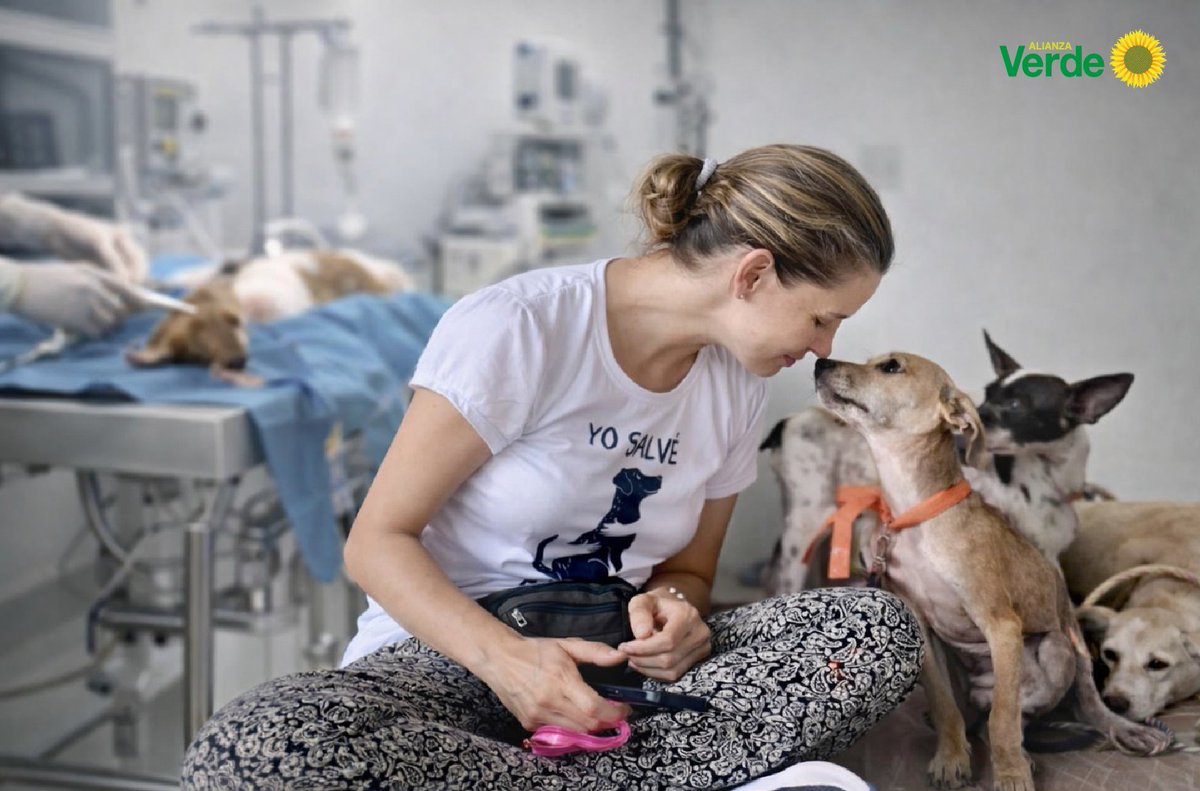 Partido Alianza Verde 🌻 tweet media