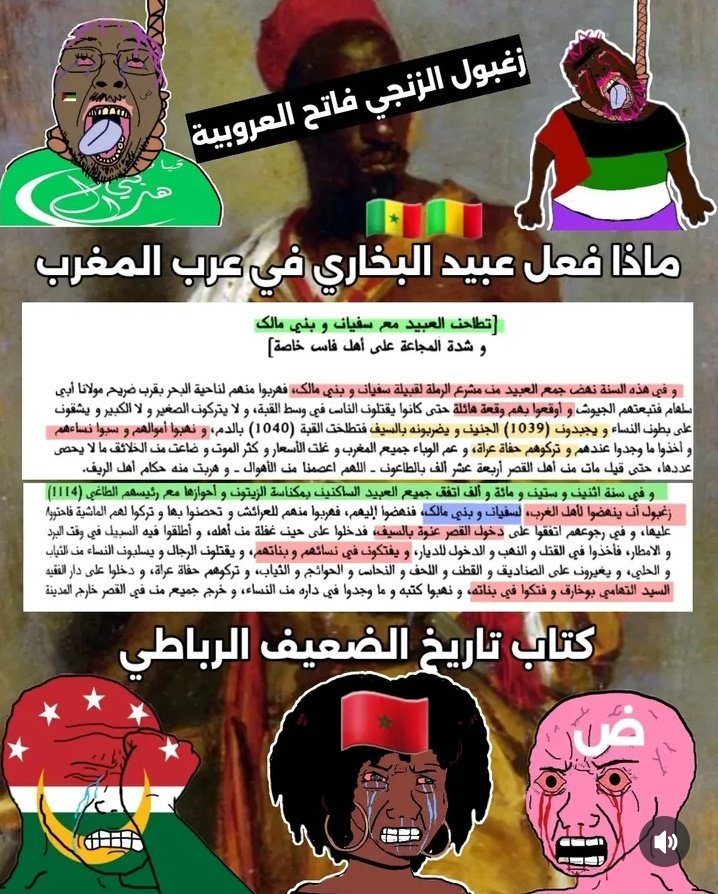 ᙅᖾᥲᥙʋɩᥒɩ⳽t🫥 tweet media