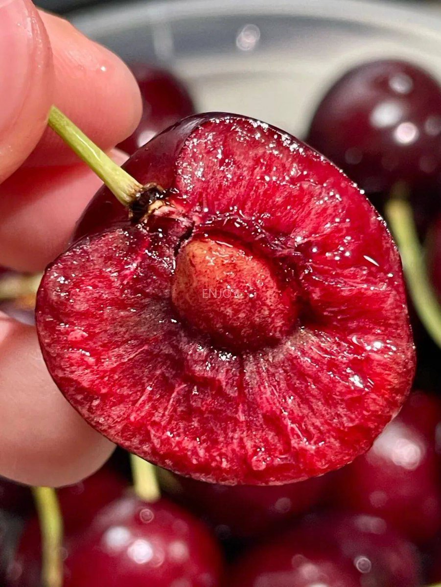 FrostBeast tweet media