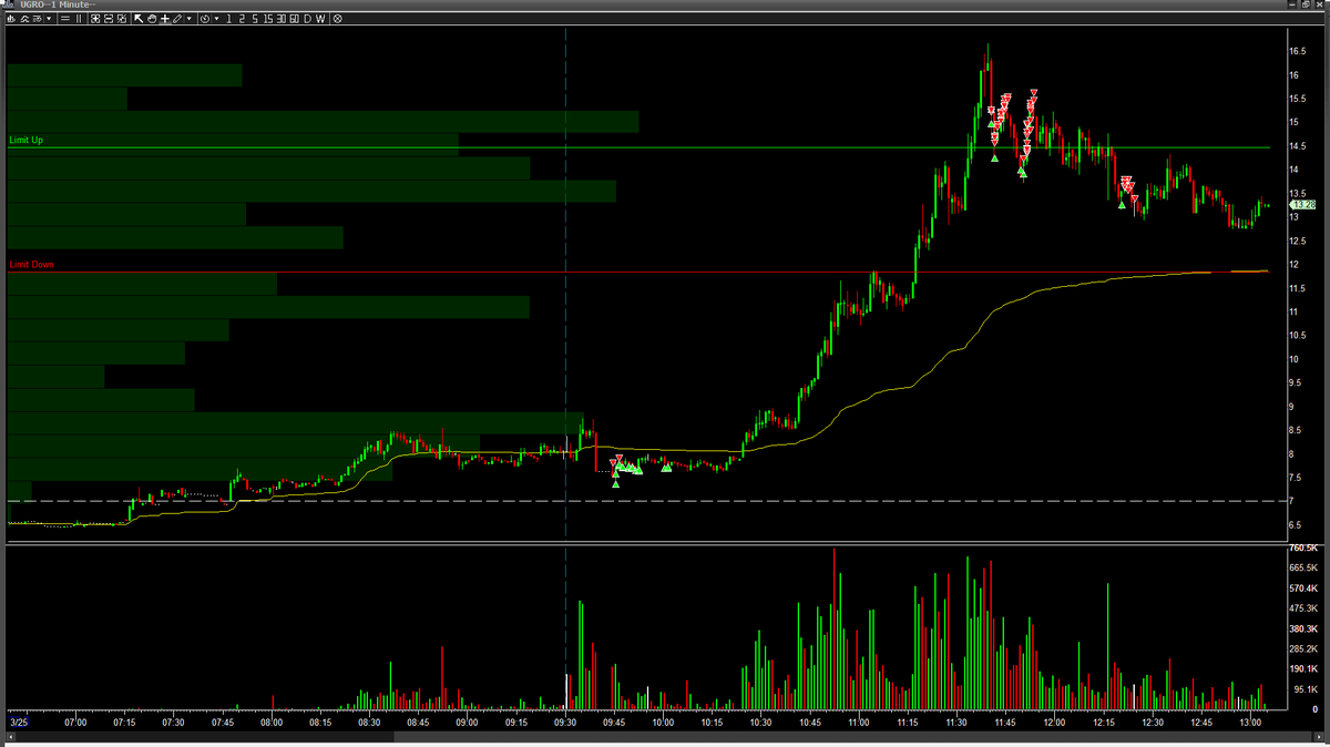 XVNTrading tweet media