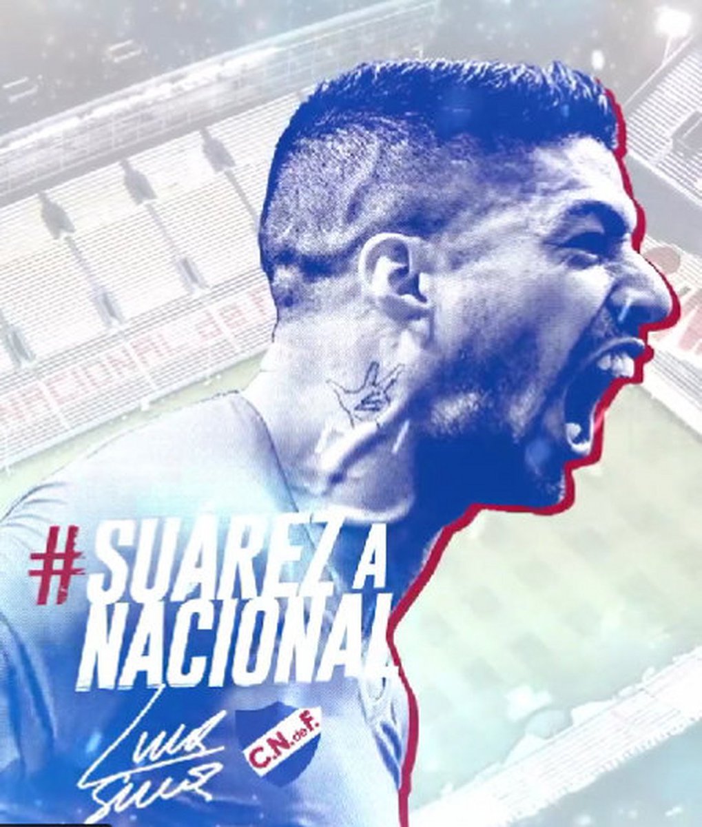 Brittany Stoeger tweet media