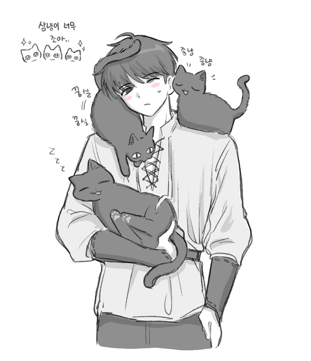 잘고양 tweet media