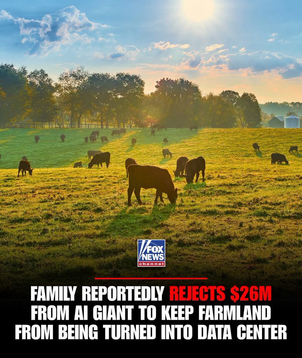 Declaration of Memes tweet media