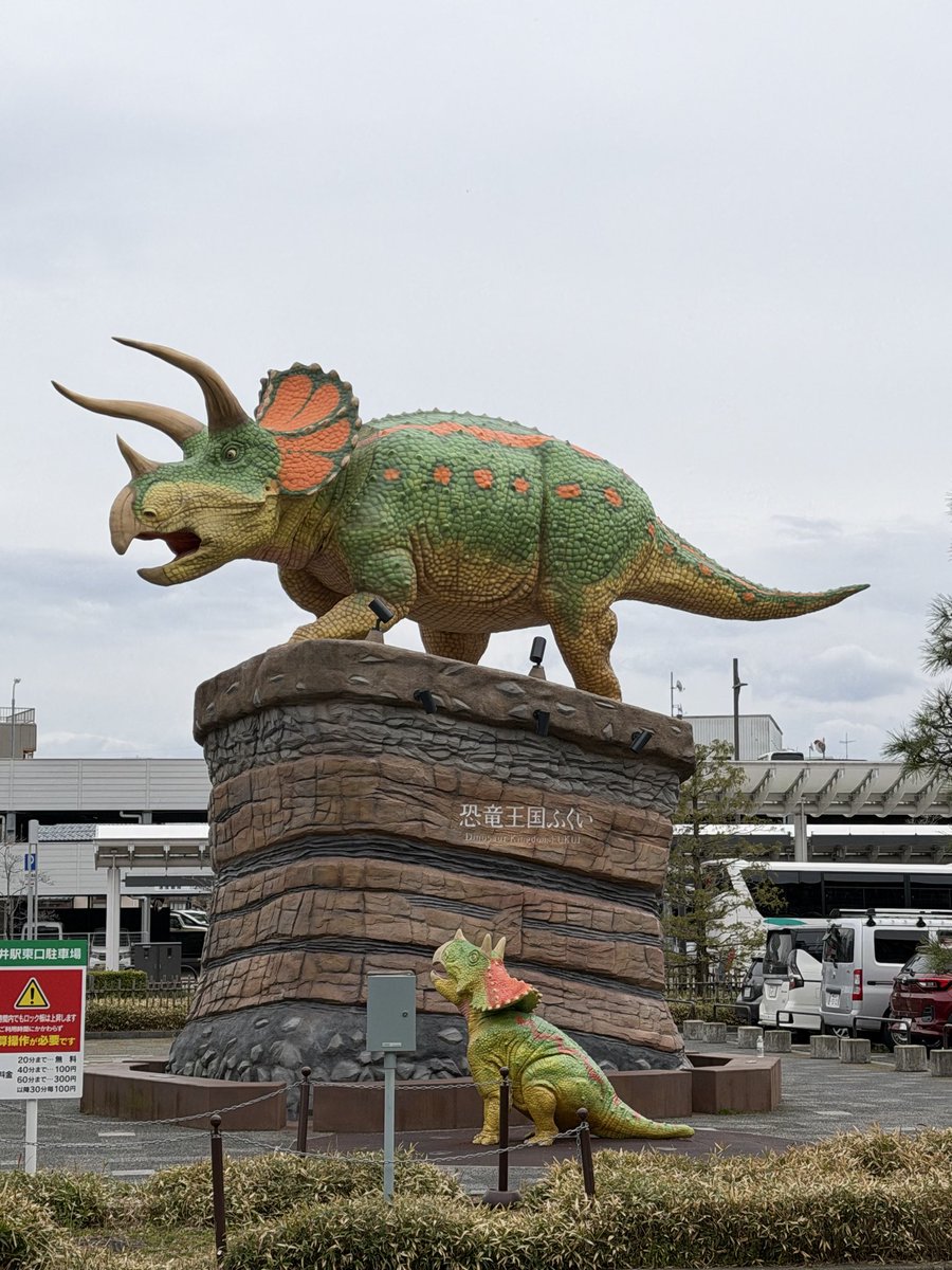 anks(アンクス)@NEXT:STAGE tweet media