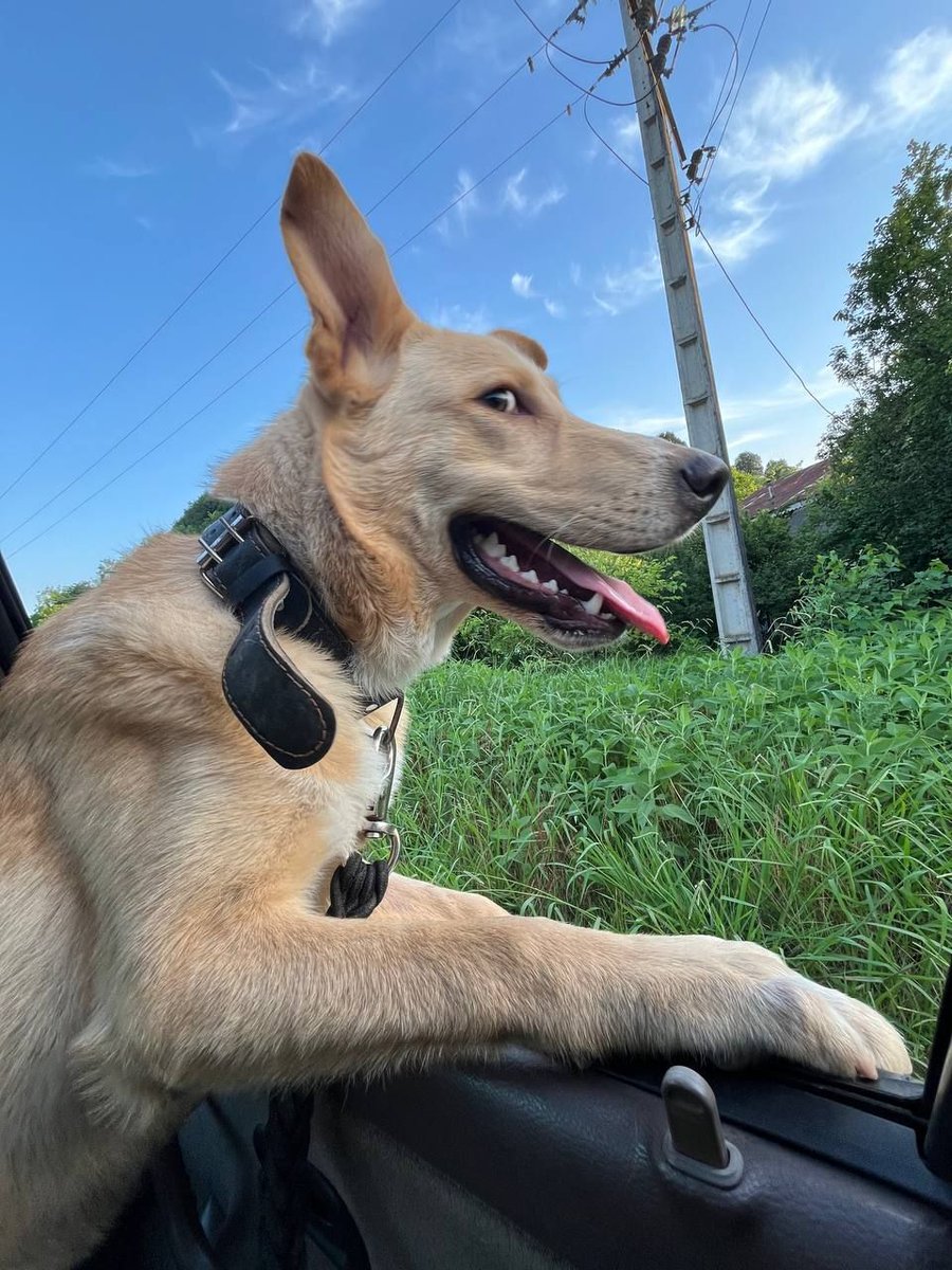 جاوید‌نام صابر رمضانی tweet media