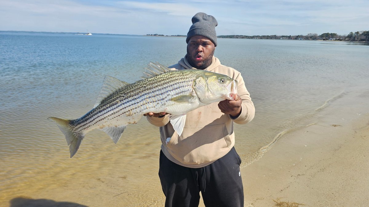 Tre_the_Menace's tweet image. Man this TANK here makes you want to call out lmao #topflightfishing #striper #maryland