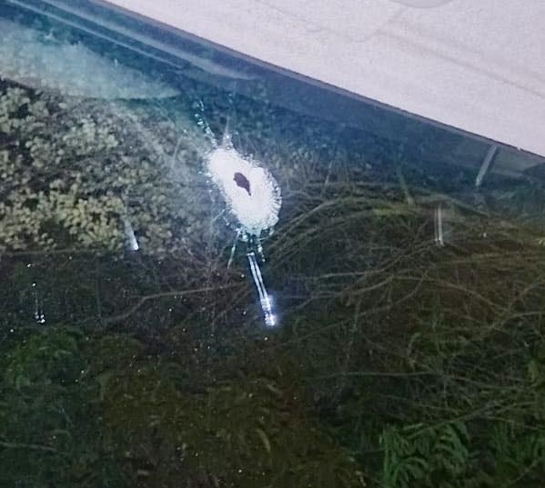 _ArriveAlive's tweet image. Armed Robbers Open Fire On Bread Delivery Truck: Oakford – KZN

arrr.co.za/EnSg6

#ArriveAlive #Robbery #Crime