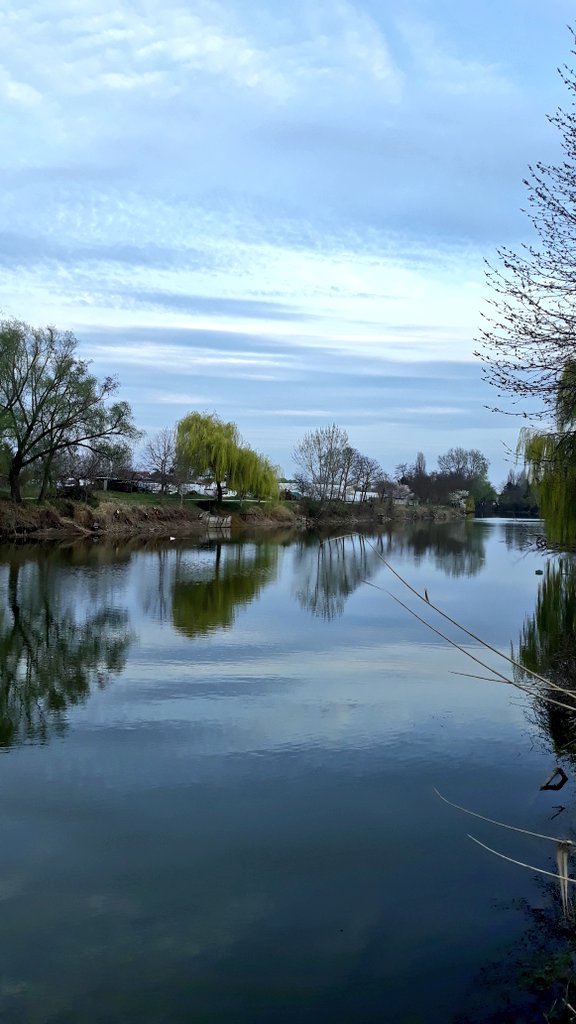 Balint Kovac tweet media