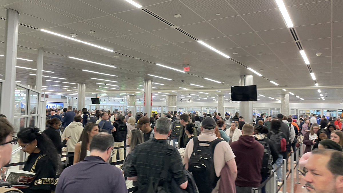 Behavioral Sink tweet media