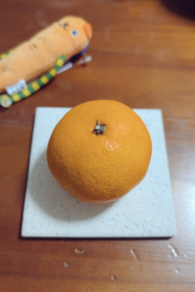 710号室の葵＠RaiRaiRa🌸🌙ba. tweet media