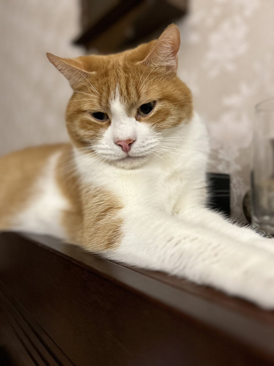 Утро в раю tweet media