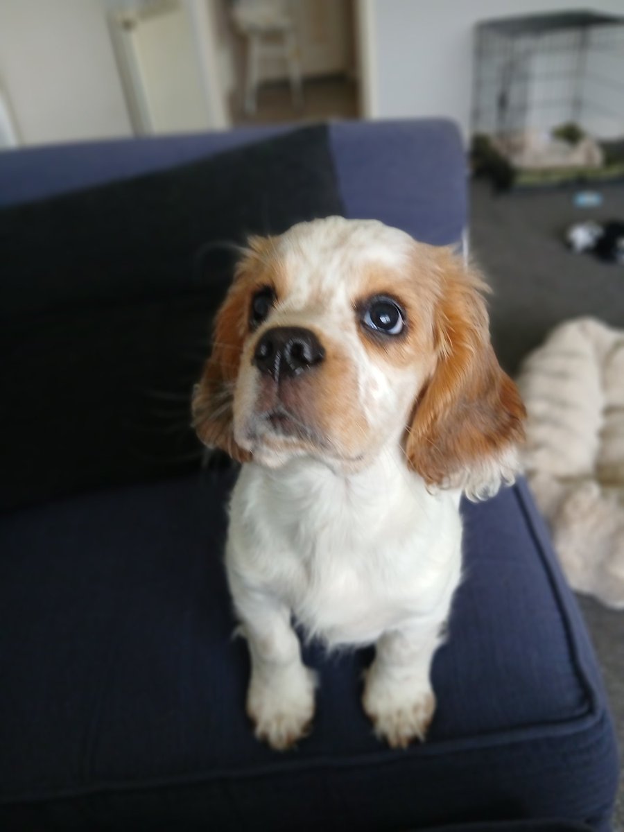 Leeds Fella : Slava Ukraini 🇺🇦 🇬🇧🇨🇦🇲🇽🇪🇺 tweet media