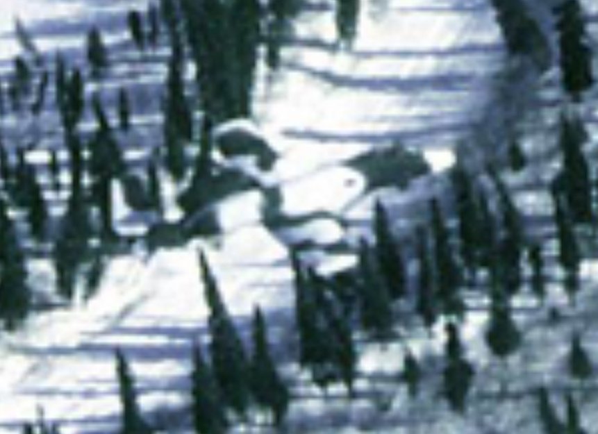 Outis the sandgrain tweet media