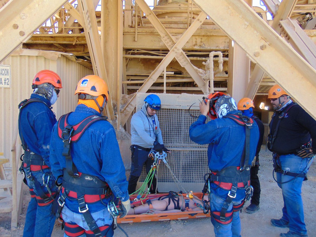 Somos MON tweet media