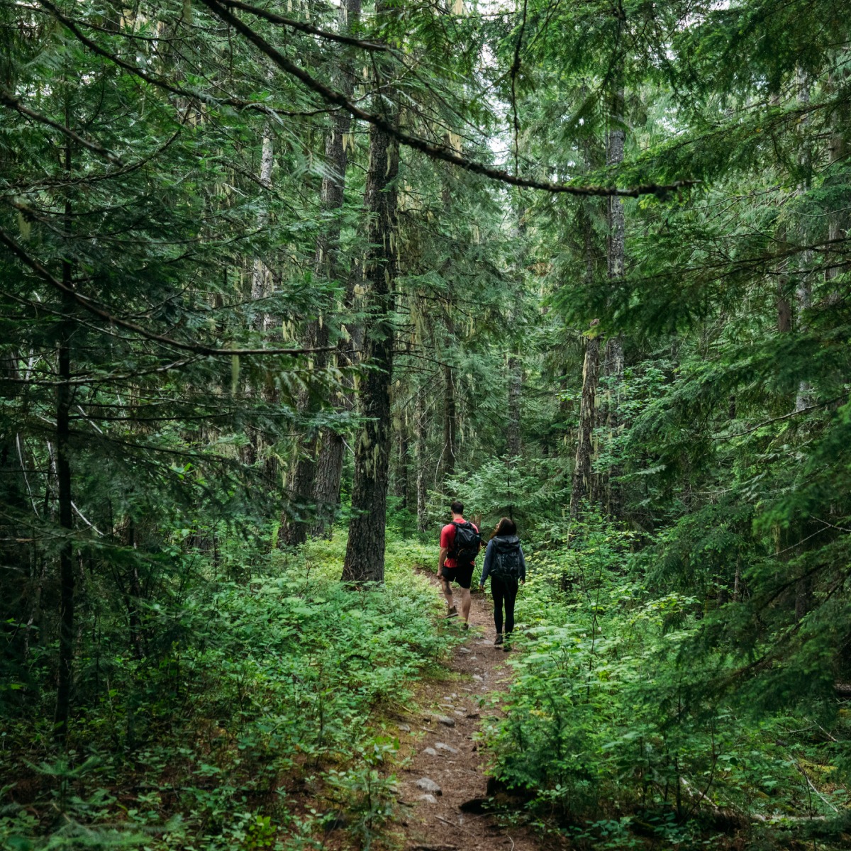 visitmontana's tweet photo. The days are long enough to make one more stop. To take the long way. To decide as you go.