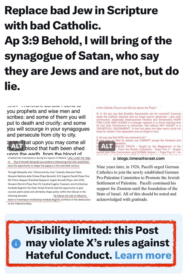 Christianus Catholicus tweet media