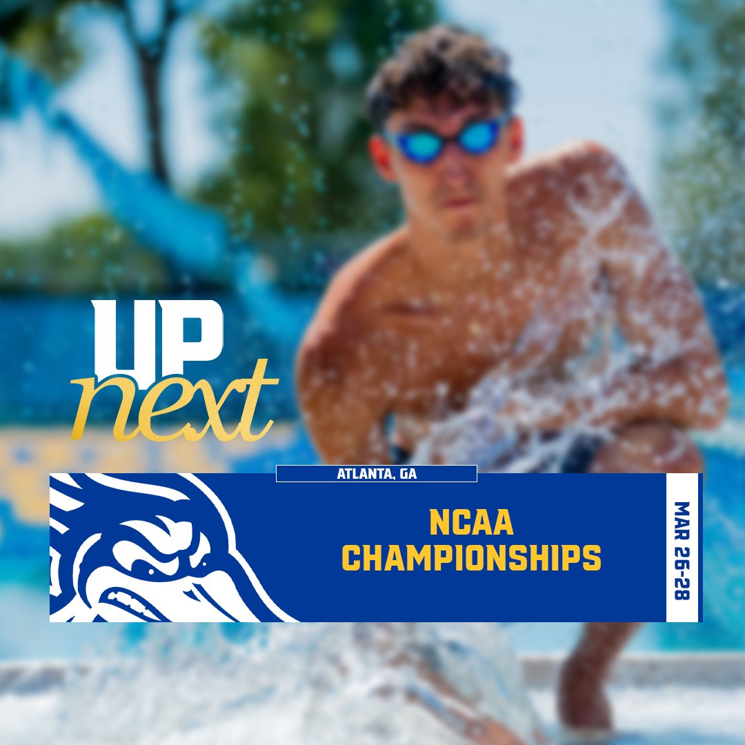 CSUB SWIMMING & DIVING tweet media
